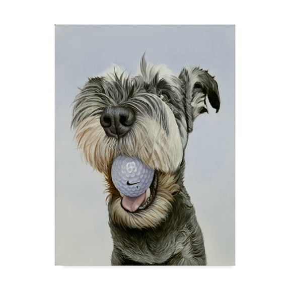 Trademark Fine Art 'Nike' Canvas Art by James Ruby