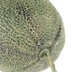 thumbnail image 3 of Fruta de Plástico, Juguetes para Alimentos, Accesorios para Tiendas de Comestibles, Tiendas de Frutas para Hoteles, Exhibición de Muestra, Accesorios Hami Melon Baoblaze Frutas artificiales, 3 of 6