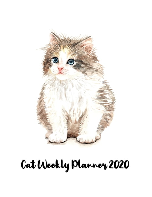 Cat Weekly Planner 2020: Water cat stuff monthly weekly ...