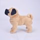 thumbnail image 1 of Cute / Soft / Imitation Bulldog Plush Toy / Realistic Puppy Plush Doll / Children's Birthday Gift / Christmas Gift33cmChina Deng Xun unisex, 1 of 1