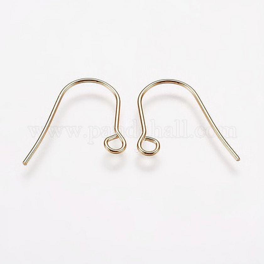 304 Stainless Steel Earring Hooks, Ear Wire, with Vertical Loop