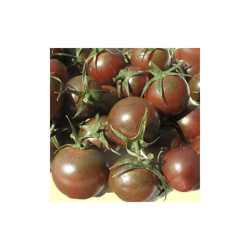Tomato Black Cherry Great Garden Heirloom Vegetable by Seed Kingdom BULK 1 Oz Seeds - Walmart ...
