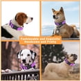 thumbnail image 5 of 2 Pack Reflective Dog Collar with Safety Locking Buckle, Adjustable Soft Breathable Comfortable Nylon Pet Collar for Small, Medium and Large Dogs, Turquoise, XS, 5 of 5