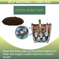 thumbnail image 3 of Window Garden Aquaphoric Self-Watering Planter with&nbsp;Fiber Soil, Foolproof Indoor Planter for Flowers, 7'', 3 of 6