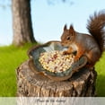 thumbnail image 2 of Ceramic Bird Bath and Feeder, Heavy Duty Ground Feeding Bowl, Wildlife Water Station for Squirrel Rabbit Bird Bee - Garden, Yard, Balcony Décor, 2 of 2