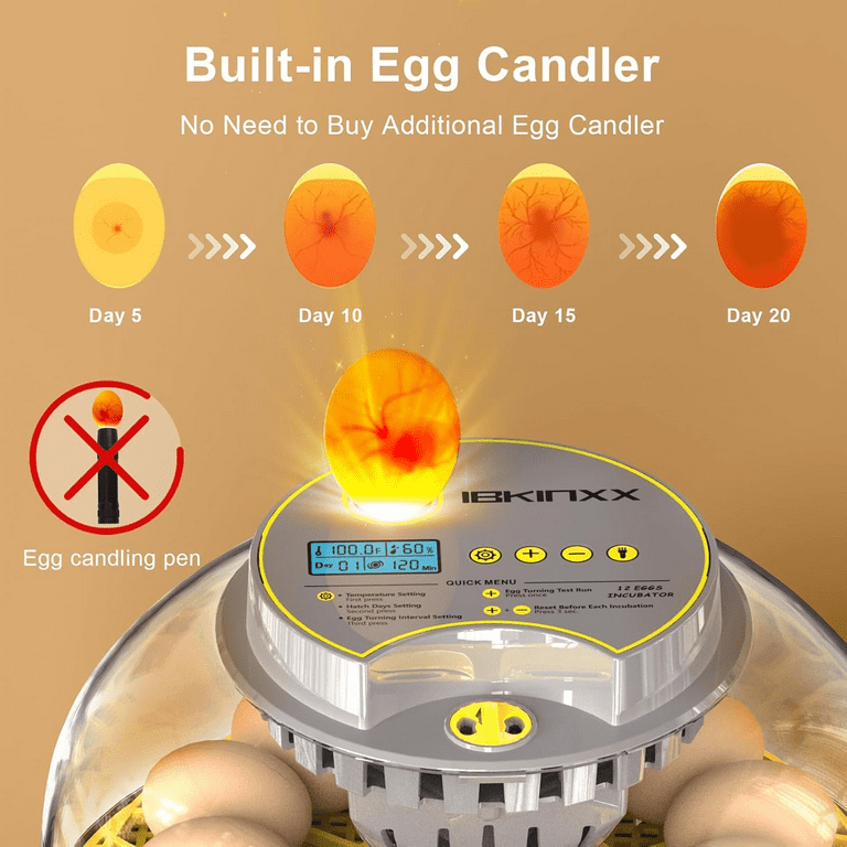 IBKINXX Small Egg Incubator, 12 Egg Capacity, Digital Temperature