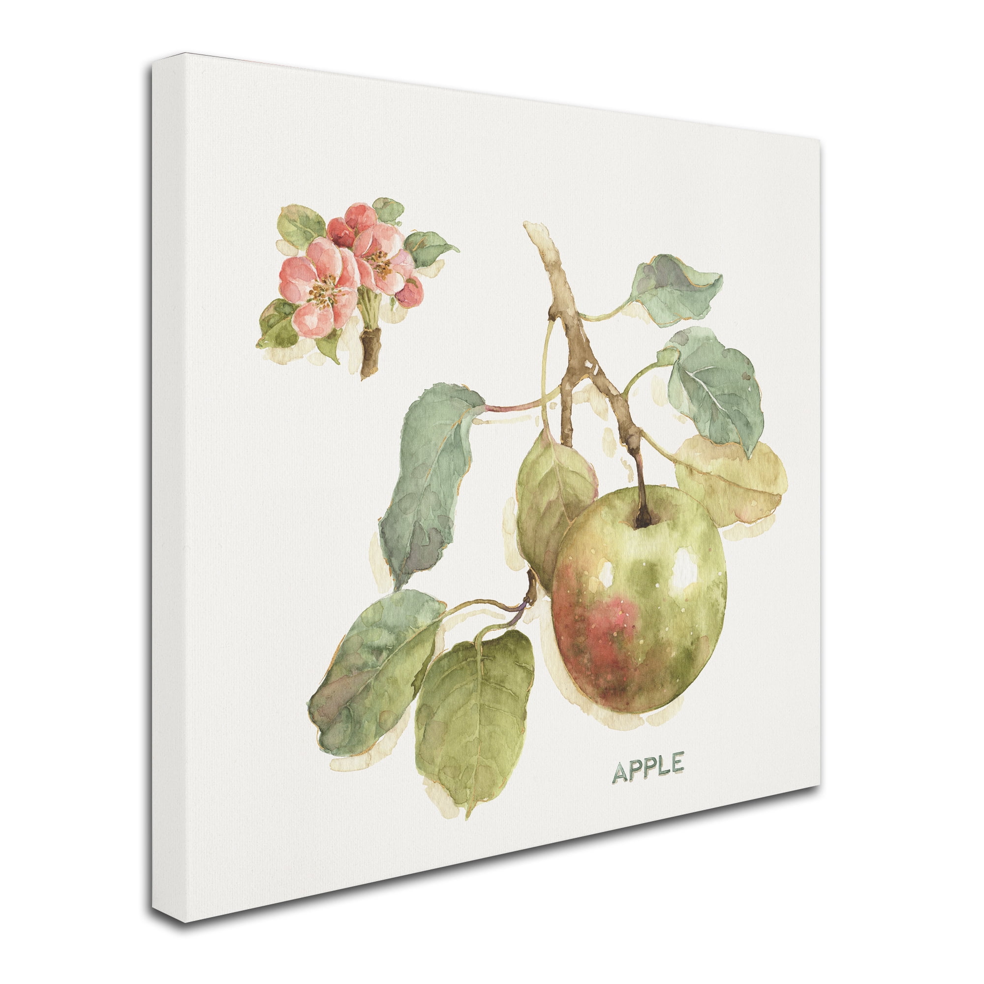 Trademark Fine Art 'Orchard Bloom I' Canvas Art by Lisa Audit