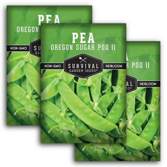 3 Packs Oregon Sugar Pod II Pea Seeds - Non-GMO Heirloom Full Sun Annual Vegetable