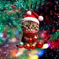 thumbnail image 2 of Acrylic Cat Christmas Ornament, 2pc Funny Tree Pendant Set, Festive Feline Hanging Decor, Whimsical Holiday Accent, Pet Lover Gift Idea, 2 of 8