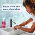 thumbnail image 4 of Softsoap Limited Edition Liquid Hand Soap, Red Apple Scent, 11.25 fl oz Pump Bottle, 4 of 14