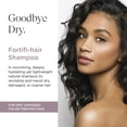 thumbnail image 2 of Champú de aceite Vatika Naturals - Desintoxica, nutre y repite para un cabello lujosamente revitalizado - Sin ftalatos ni aceites minerales - Extractos de aguacate 425ML, 2 of 5