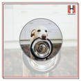 thumbnail image 2 of HomeHunch Dog Bowl Set of 2 Food Bowls for Cat Dogs Stainless Steel 16oz, 2 of 5