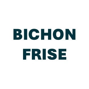 Bichon Frise Pill Butter