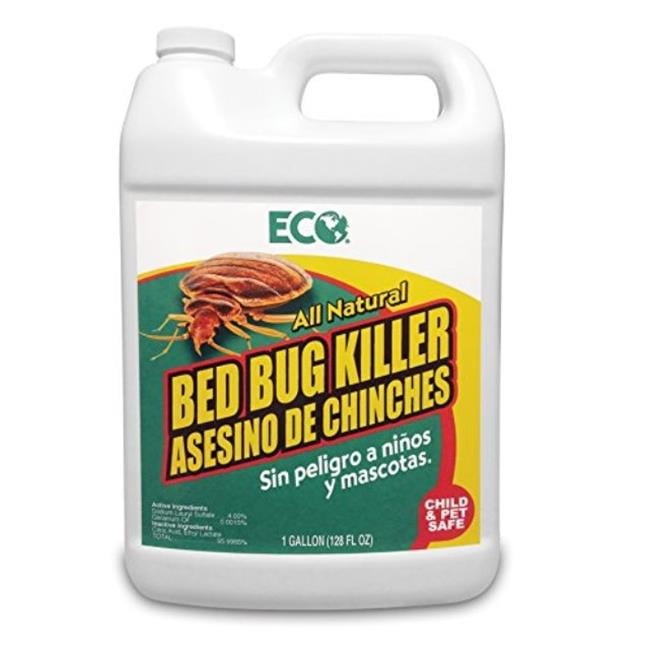 ECO 01289 1 gal ECO Bed Bug Killer