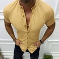 thumbnail image 2 of YUHAOTIN Shirts Men Big and Tall Spring and Autumn Plaid Stand Collar Short Sleeve Shirt Solid Color Oversize Top Bowling Shirts for Men Retro with Name 4th of July Shirts Funny Boys, 2 of 8