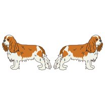 Cavalier King Charles Spaniel Decal | Indoor/Outdoor | Dog Lover Super Cute Sticker for SUV Windows, Dorm Rooms, Bedroom, Offices | SignMission personalized gift | 2 Pack of 6"