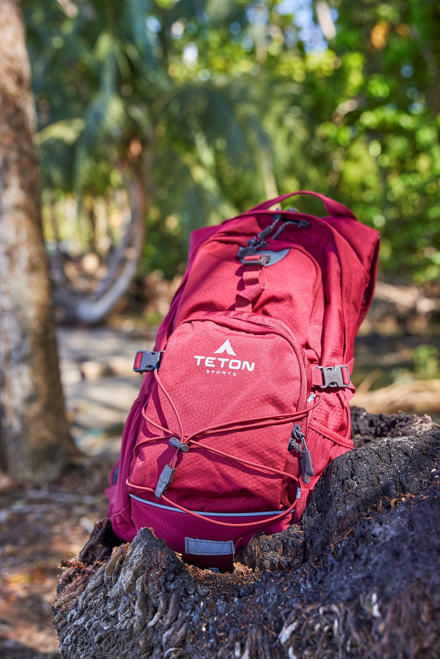 Teton Oasis 22L Hydration Pack - Pomegranate