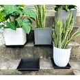 thumbnail image 6 of 10Pcs Plastic Flower Plant Pot Saucer,8.7x8.7x1.3In Outdoor Plant Pots,QZS Plant Water Catcher Drip Dishes,Black Square Plant Drip Trays, 6 of 6