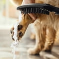 Hansgrohe Dog Showerhead
