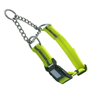 Dog training collars at walmart hotsell