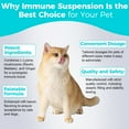 thumbnail image 4 of Welsdom Pets Immune Support Liquid Supplement - 60mL | Comprehensive Immune Boost for Cats & Dogs | Antioxidant-Rich Formula | Promotes Digestion & Recovery | Easy-to-Administer Veterinary Blend, 4 of 6