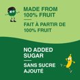 thumbnail image 3 of GoGo squeeZ Fruit Sauce Snack Pouches Variety, Apple, Apple Banana, No Sugar Added Box of 12 Pouches, 3 of 7