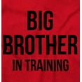 thumbnail image 2 of Big Brother in Training Announcement Youth T Shirt Tee Boys Infant Toddler Brisco Brands 4T, 2 of 5