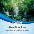 thumbnail image 3 of Refresh Your Car! Pine & Moss Mini Diffuser Car Air Freshener - 2 Count, 3 of 7