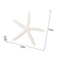 thumbnail image 3 of Natural Coral Starfish Resin Ornaments, 4 Inch Mixed Beach Theme Decor for Fish Tanks, Aquarium Landscape, Wedding Centerpieces, Diy Crafts, and Coastal Home Decoration, 3 of 6