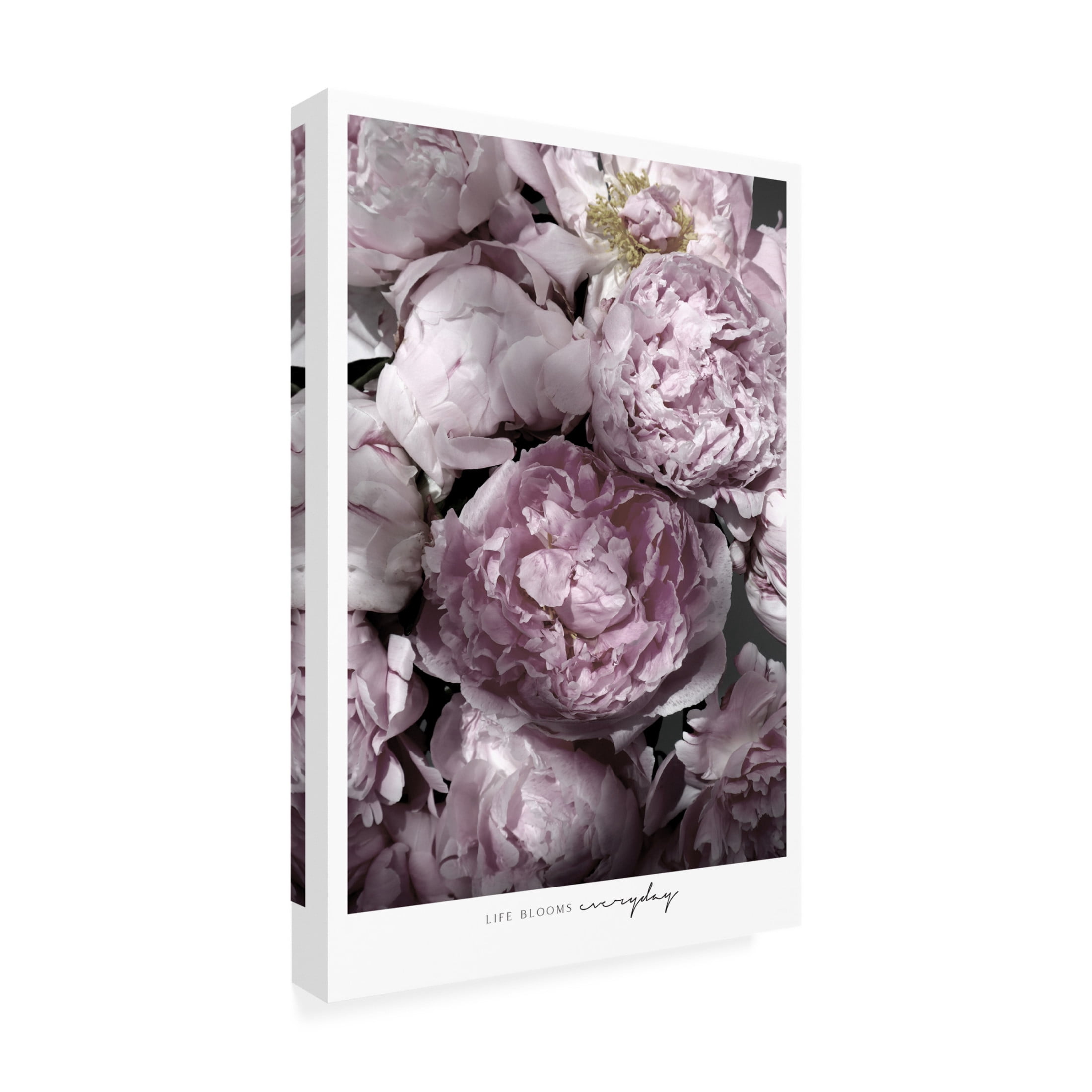 Trademark Fine Art Rosana Laiz Blursbyai Life blooms everyday peonies Canvas Wall Art