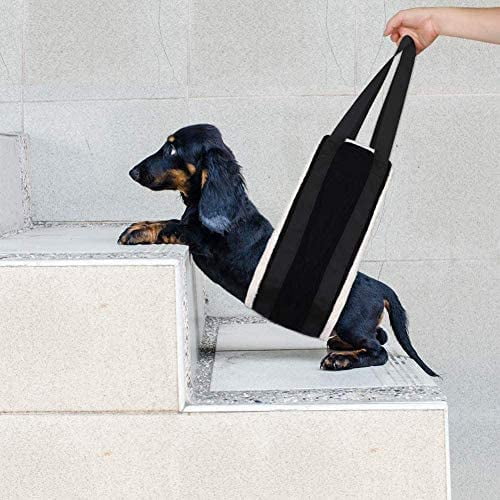 Mobility harness for older dogs hotsell