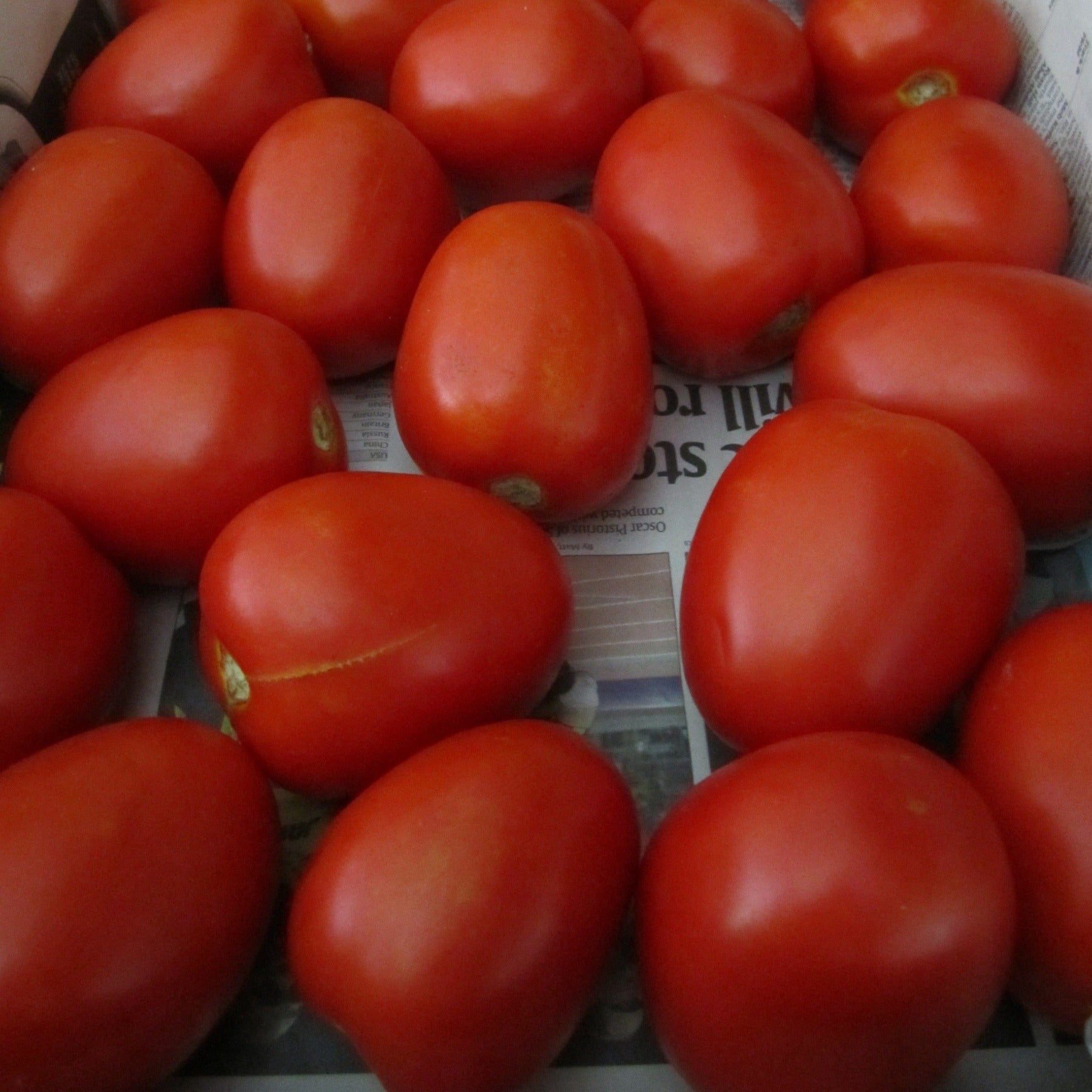 PAPAW'S GARDEN SUPPLY LLC. HELPING THE NEXT GENERATION GROW! Health