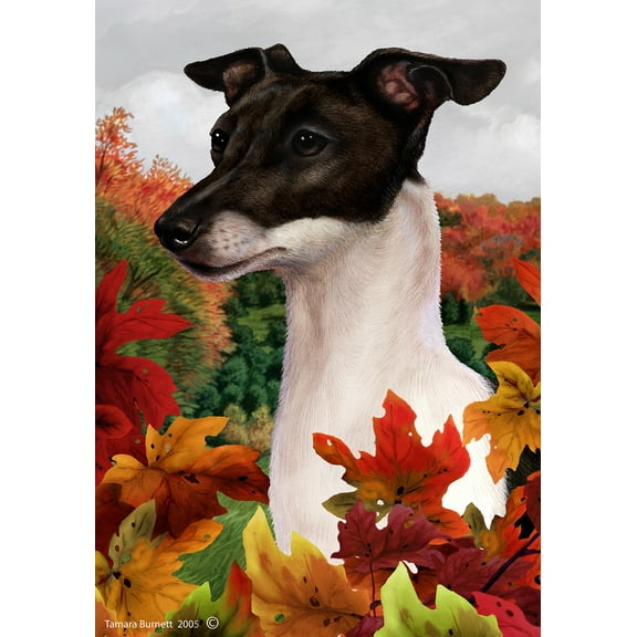 Italian Greyhound Black/White - Best of Breed Fall Leaves Garden Flags