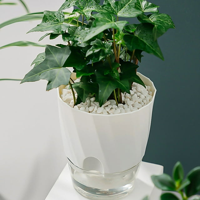 Pot de Fleurs Automatique Auto-Arrosant Carré Transparent pour Plantes Succulentes Africaines