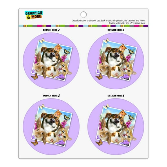 Pets Selfie Picture Dog Cat Guinea Pig Rabbit Refrigerator Fridge Locker Vinyl Circle Magnet Set
