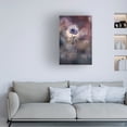 thumbnail image 2 of Canvas Wall Art - Fabien Bravin 'A Brighter Future' Wall Art for Living Room, Bedroom, or Office Décor by Trademark Fine Art - 16 x 24 Inches, 2 of 4