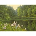 thumbnail image 2 of Adamov, Alexey 24x19 Gold Ornate Wood Framed with Double Matting Museum Art Print Titled - Iris by the River, 2 of 4