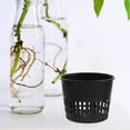 thumbnail image 4 of Miangastore 30Set Hydroponic System Planting Container Plastic for Garden Equipment, 4 of 8