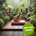 thumbnail image 4 of Arena sanitaria para gatos Almo Nature 4,5 kg aglomerante a base de plantas, 4 of 7