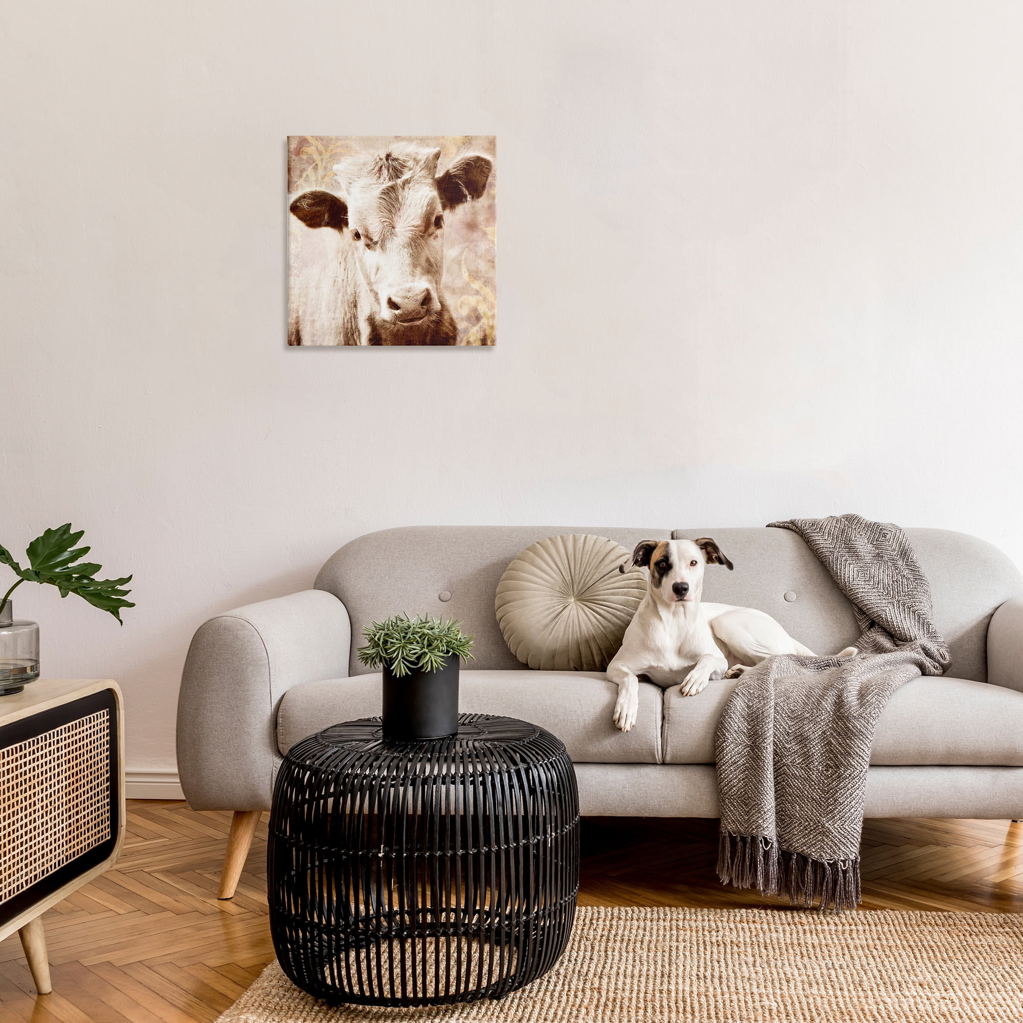 Stupell Industries Abstract Sepia Cattle Animals & Insects Photography Gallery Wrapped Canvas Art Print Wall Art, 24 x 24