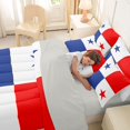 thumbnail image 5 of Manfei Panama Flag 7-Piece King Bedding,Patriotic Theme Art King Bed in a Bag,Red Blue White,Light Gray Reversible, 5 of 7