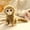 Yellow S #175, variant on Cute Monkey Plush Doll Soft Furry Primate Stuffed Animal Toy for Collectors Home Office Decor 2026 New Arrival Gift Yellow L