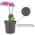 thumbnail image 5 of 10 uds Maceta transparente TUNC Maceta de plástico pequeña para orquídeas Sencillez, 5 of 5