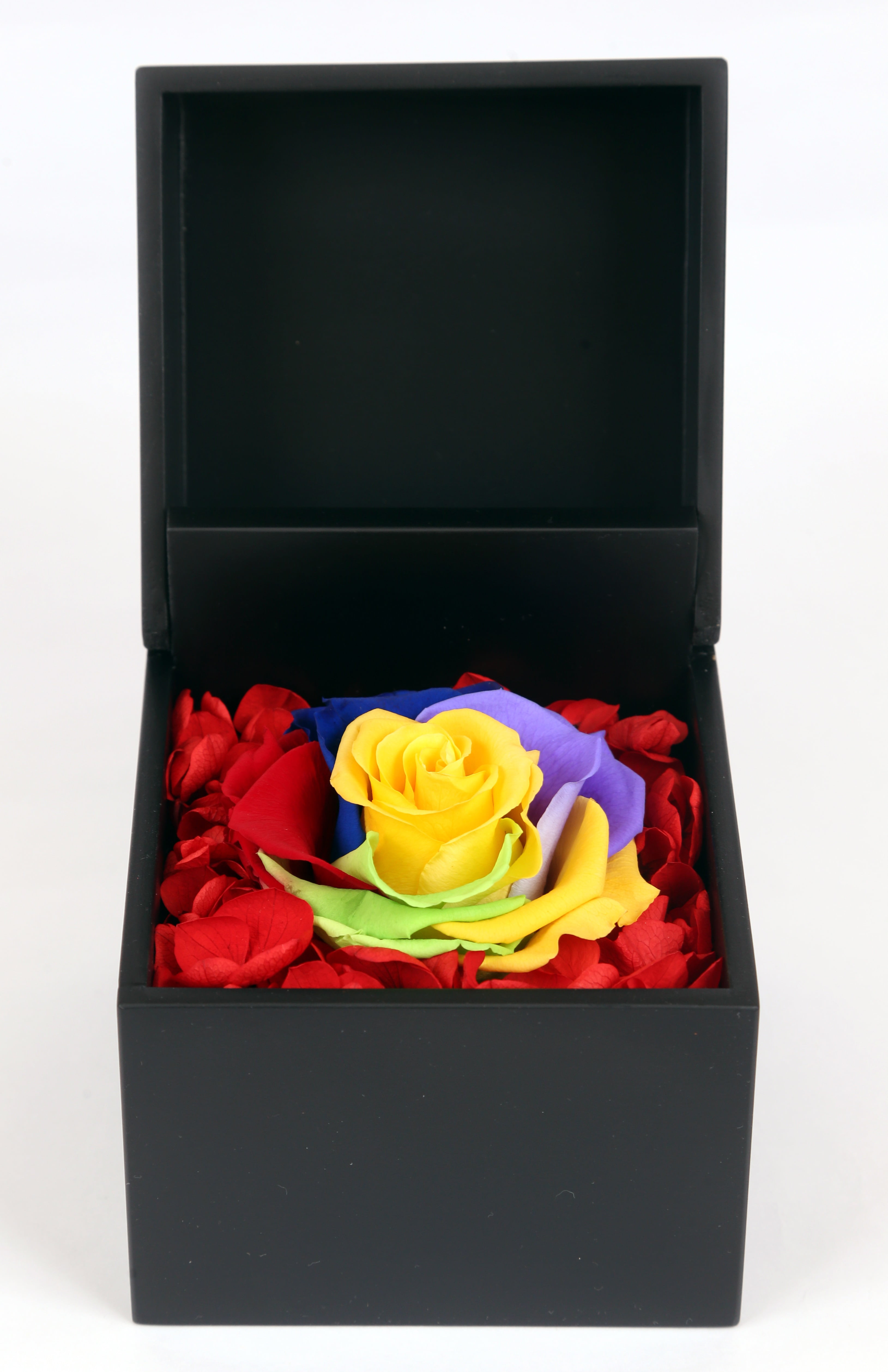 REAL Preserved Rose Rainbow Crystal Box Birthday Anniversary Mother's day Gift 