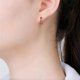 thumbnail image 3 of Pendientes S925 para mujer, con circonita rosa y roja, con sello de aro, piercing, regalo de fiesta para niña, 3 of 5