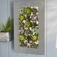 thumbnail image 3 of Modern Home Living Wall Galvanized Steel/Zinc Succulent Planter (Aged Zinc, 18 Pocket), 3 of 6