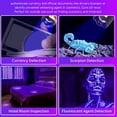 thumbnail image 3 of Small  Flashlight, Handheld Ultraviolet Flashlight 395nm Purple Light  For Dry Stains, 3 of 8