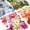 thumbnail image 5 of 110 Pcs Pressed Flowers, Real Dried Flower Leaves for Scrapbooking Crafts DIY Soap Candles Making Nails Decor, 5 of 5