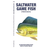 Saltwater Game Fish of North America : An Illustrated Folding Pocket Guide to Familiar Species (Edition 2) (Other)