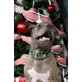 thumbnail image 2 of Country Brook Petz® Christmas Cheer Martingale Dog Collar Limited Edition, 2XS, 2 of 7